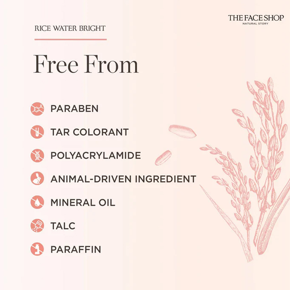 THE FACE SHOP RICE WATER BRIGH - Luxury Skincare Shop avaliação e preço
